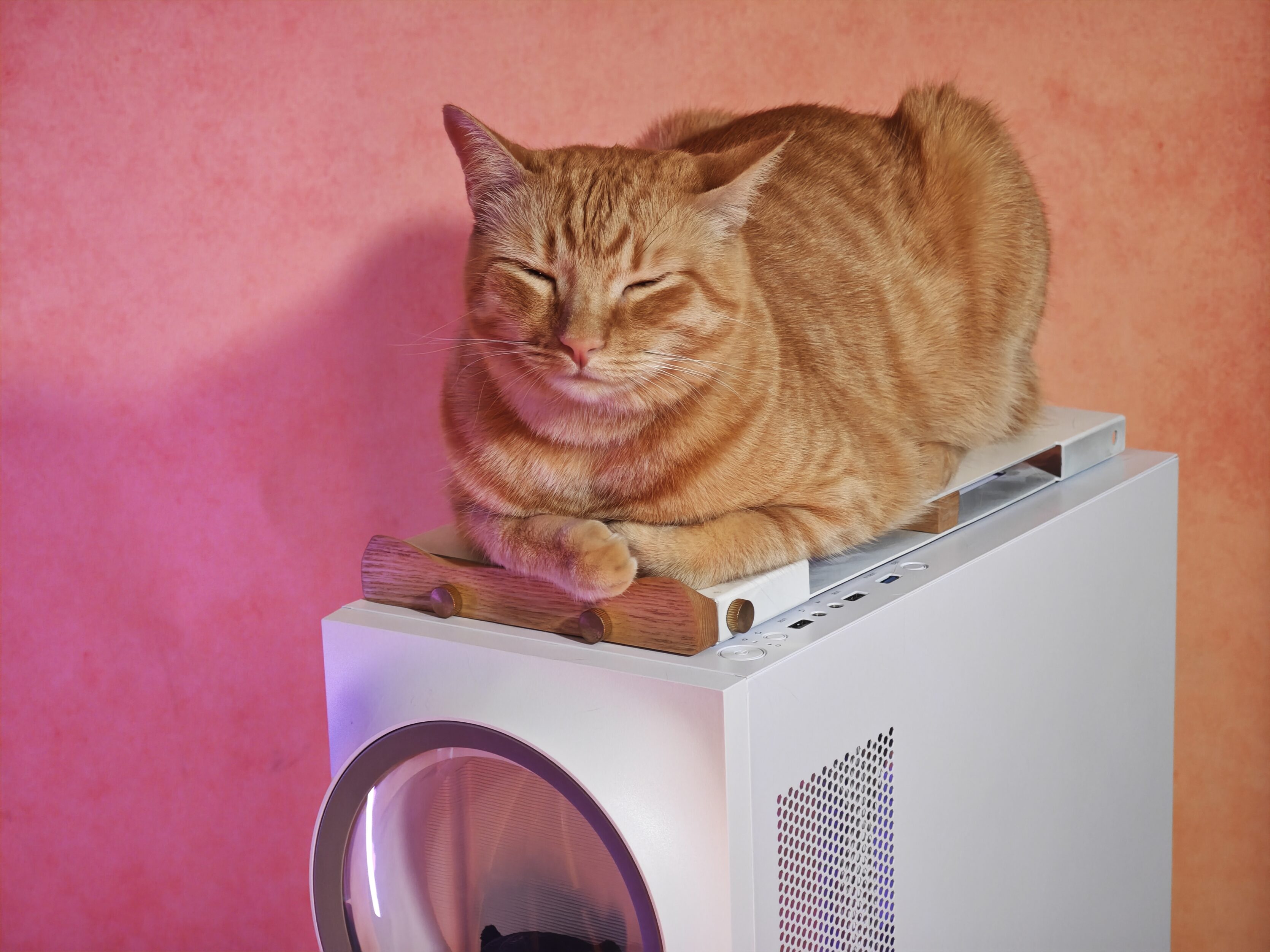 Home PC Loaf Cat bed